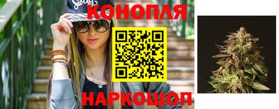гидропоника Будённовск