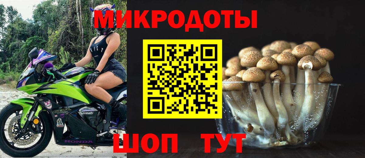 Псилоцибиновые грибы прущие грибы  Галлюциногенные грибы Cubensis  Севастополь  Вход с VPN 